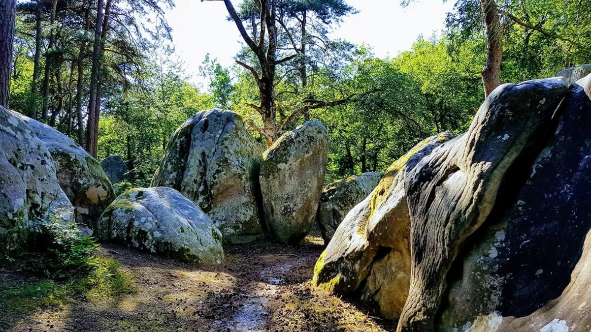 Permis de construire à Fontainebleau - illustration du suivi de chantier et du dossier